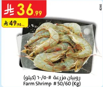 روبيان مزرعه # 50/60 (كيلو)