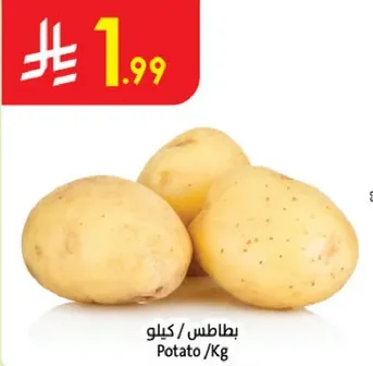 Potato /Kg