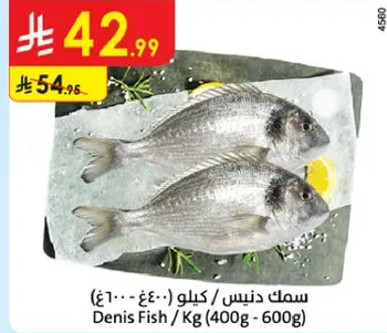 سمك دنيس / كيلو (400g - 600g)