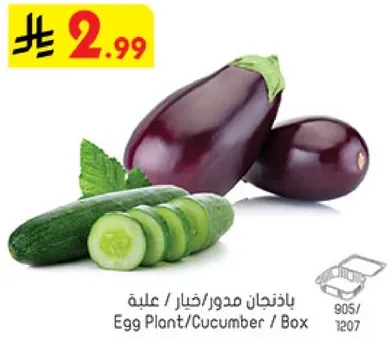 باذنجان مدور/خيار