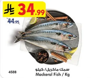 سمك ماكريل / كيلو