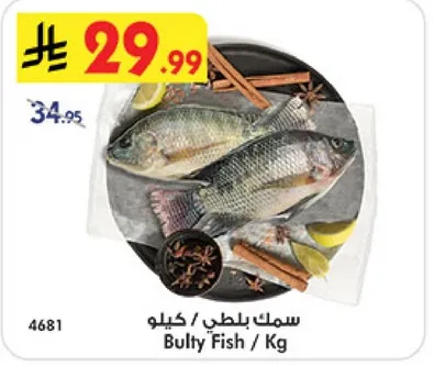 سمك بلطي / كيلو