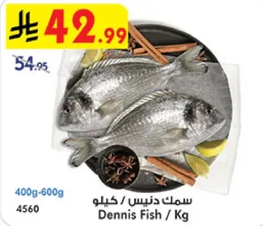 سمك دنيس / كيلو