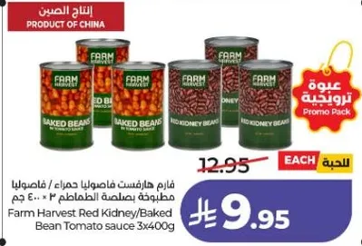 فاصوليا حمراء مع صلصه الطماطم 3 × 400 جرام