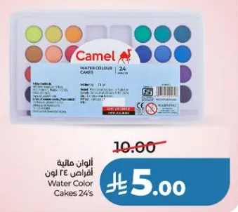 Water Color Cakes 24's