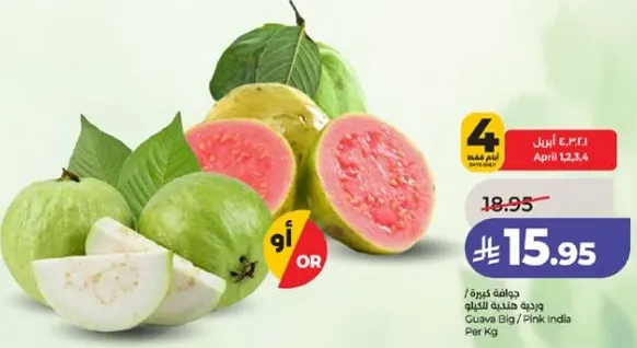 جوافه كبيره / ورديه هنديه لكل كيلو