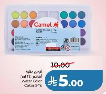 Water Color Cakes 24's