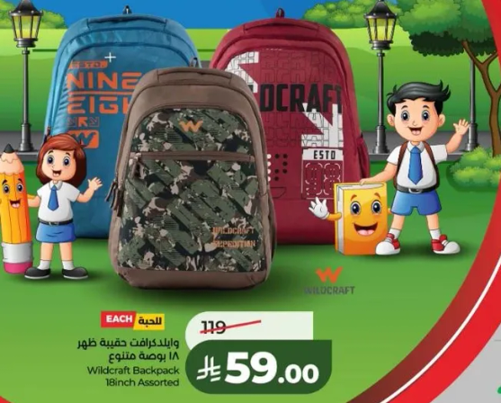 حقيبه ظهر وايلد كرافت 18 بوصه متنوعه