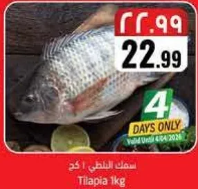 سمك البلطي 1 كغ