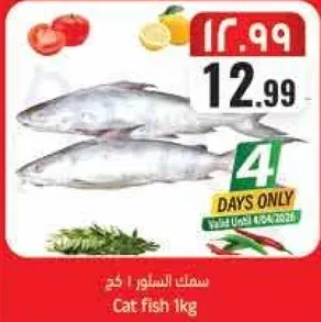 سلف السمك 1 كجم