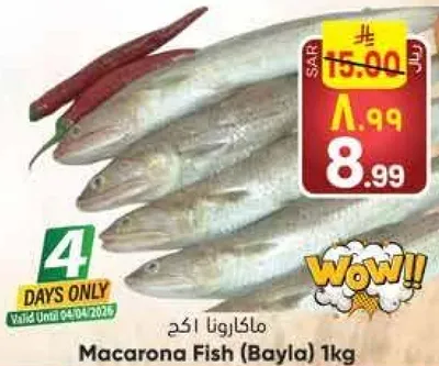 ماكارونا 251 كجم