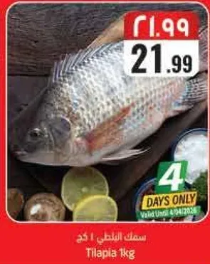 سمك البلطي 1 كغ