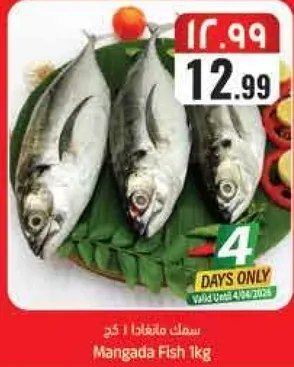 سمك مانغادا 1 كغ