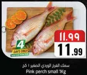 سمك الفرخ الوردي الصغير 1 كغ