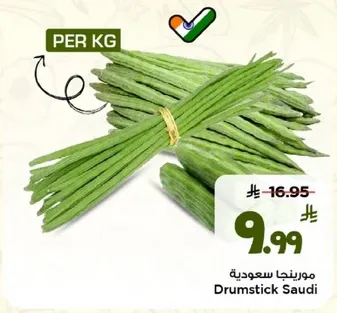 مورنجه سعوديه