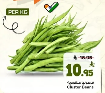 فاصوليا عنقوديه