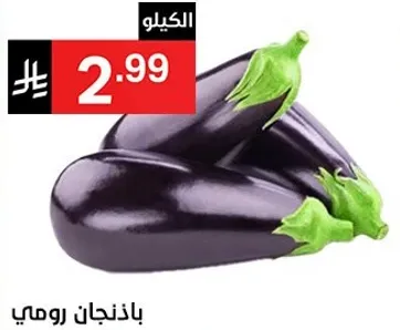 باذنجان رومي