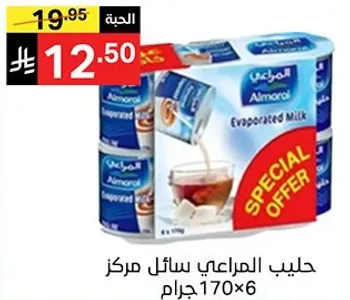 حليب المراعي سايل مركز 170 جرام × 6