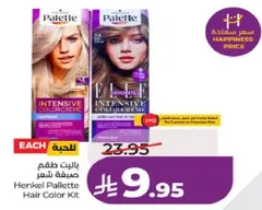 مجموعه صبغه شعر هينكل باليت