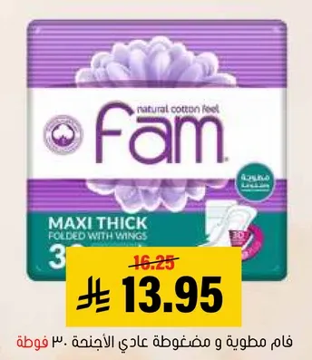 فام مطوطه و مضغوطه عادي الاجنحه.