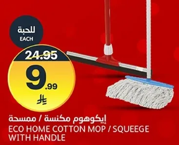 ايكوهوم مكنسه / ممسحه مع مقبض