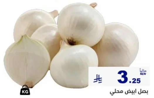 بصل ابيض محلي