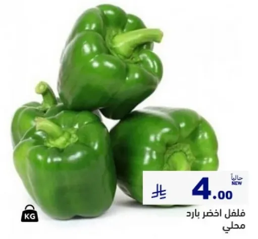 فلفل اخضر بارد محلي