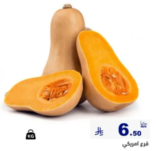 قرع امريكي، نوع من القرع الشتوي بطعم حلو ومكسر.