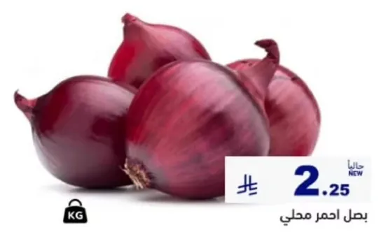 بصل احمر محلي