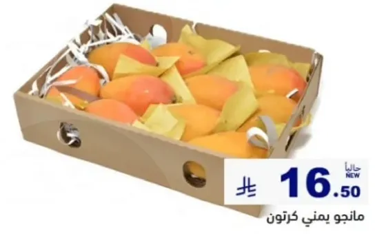 مانجو يمني كرتون