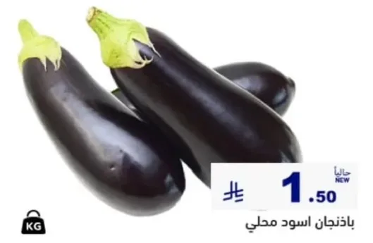 باذنجان اسود محلي