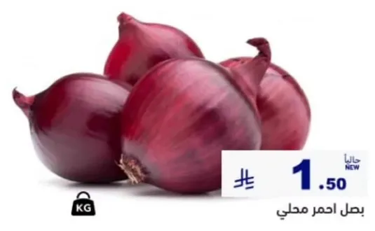 بصل احمر محلي