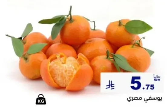 يوسفي مصري.