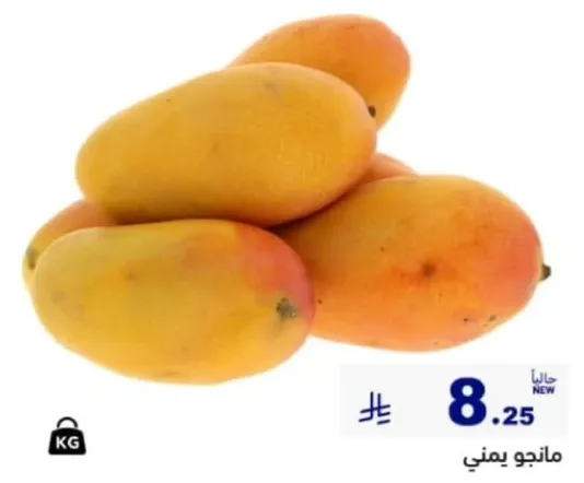 مانجو يمني، طازج ولذيذ.