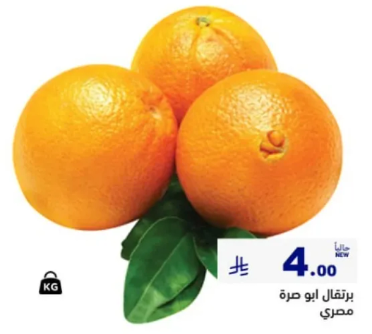 برتقال ابو صره مصري.