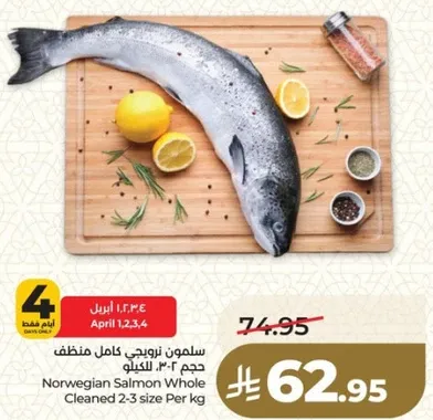 سلمون نرويجي كامل منظف حجم 2-3 للكيلو