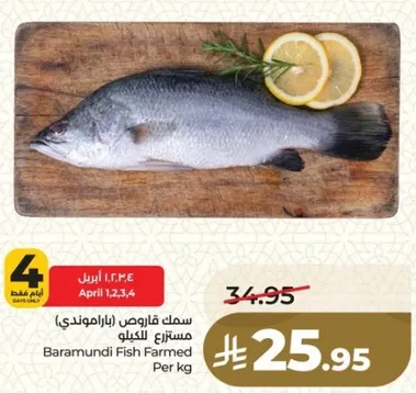 سمك فارومندي مستزرع بالكيلو