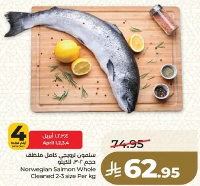 سلمون نرويجي كامل منظف حجم 2-3 كيلو