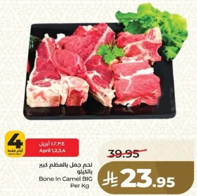 لحم جمل بالعظم كبير