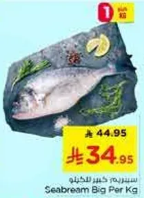 سمك سيبريم كبير للكيلو