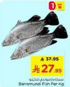 سمك باراموندي للكيلو