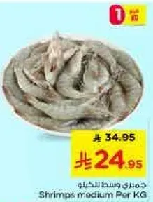 جمبري وسط للحجم