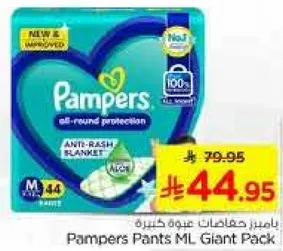 بايمرز حفاضات علبه كبيره