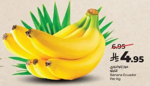 موز اكوادوري للكيلو