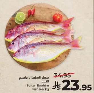 سمك السلطان ابراهيم للكيلو