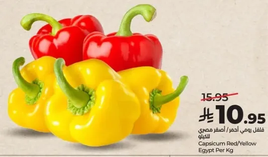 فلفل رومي احمر/اصفر مصري