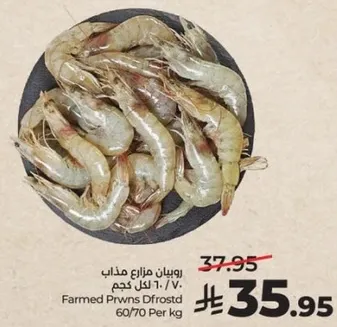 روبيان مزراع مذاب 1.7 كجم