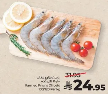 روبيان مزارع مذاب 100/120 لكل كجم