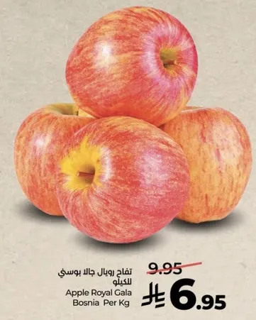 تفاح رويال جالا بوسني