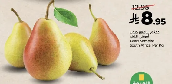 كمثري سامبيري جنوبي